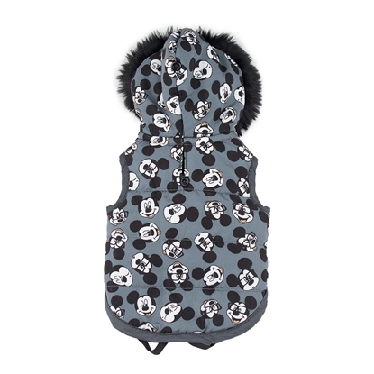 Picture of Disney Mickey grey dog coat